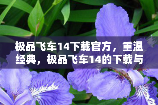 极品飞车14下载官方，重温经典，极品飞车14的下载与体验