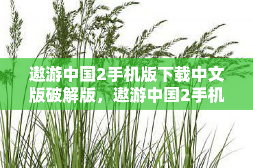 遨游中国2手机版下载中文版破解版，遨游中国2手机版下载中文版—畅游中国的绝佳选择
