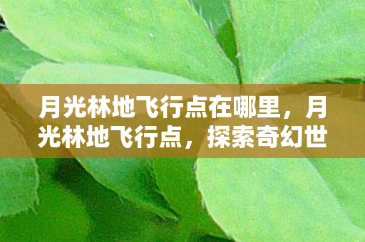 月光林地飞行点在哪里，月光林地飞行点，探索奇幻世界的起点