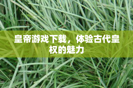 皇帝游戏下载，体验古代皇权的魅力