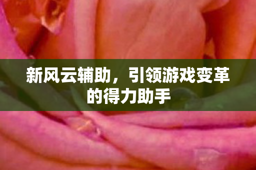 新风云辅助，引领游戏变革的得力助手