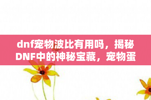 dnf宠物波比有用吗，揭秘DNF中的神秘宝藏，宠物蛋波比
