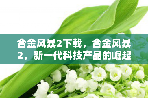 合金风暴2下载，合金风暴2，新一代科技产品的崛起与挑战