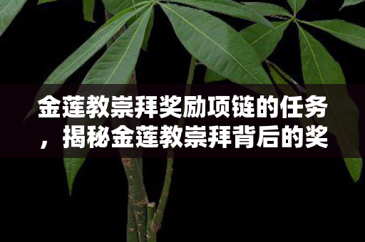 金莲教崇拜奖励项链的任务，揭秘金莲教崇拜背后的奖励机制