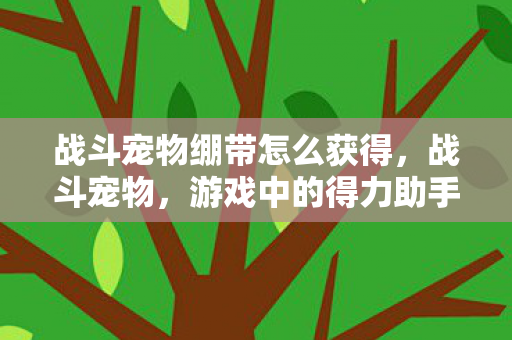 战斗宠物绷带怎么获得，战斗宠物，游戏中的得力助手与伙伴