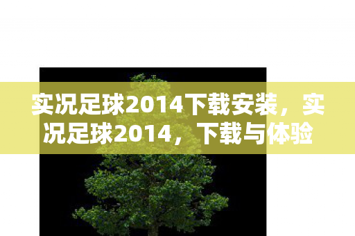 实况足球2014下载安装，实况足球2014，下载与体验