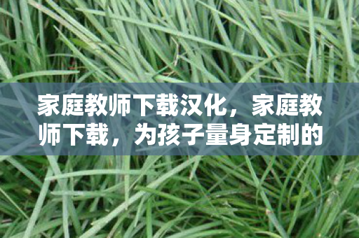 家庭教师下载汉化，家庭教师下载，为孩子量身定制的优质教育资源