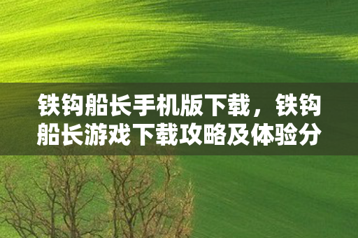 铁钩船长手机版下载，铁钩船长游戏下载攻略及体验分享