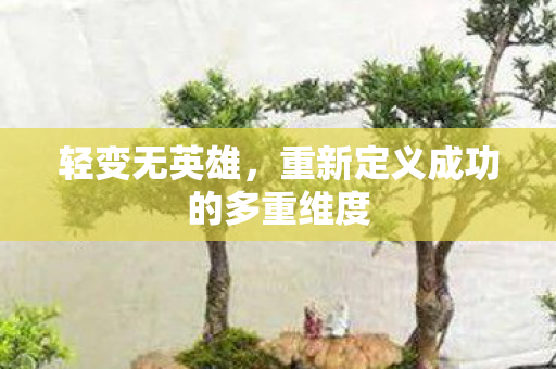 轻变无英雄，重新定义成功的多重维度