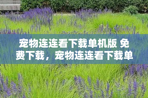 宠物连连看下载单机版 免费下载，宠物连连看下载单机版—体验宠物世界的无尽魅力