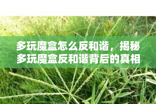 多玩魔盒怎么反和谐，揭秘多玩魔盒反和谐背后的真相与真相背后的故事