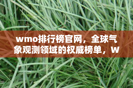 wmo排行榜官网，全球气象观测领域的权威榜单，WMO排行榜