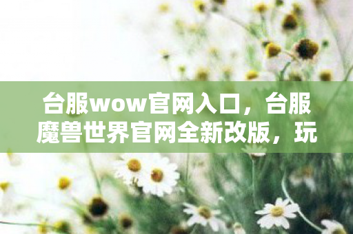 台服wow官网入口，台服魔兽世界官网全新改版，玩家必看指南！