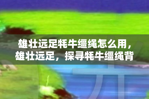 雄壮远足牦牛缰绳怎么用，雄壮远足，探寻牦牛缰绳背后的故事