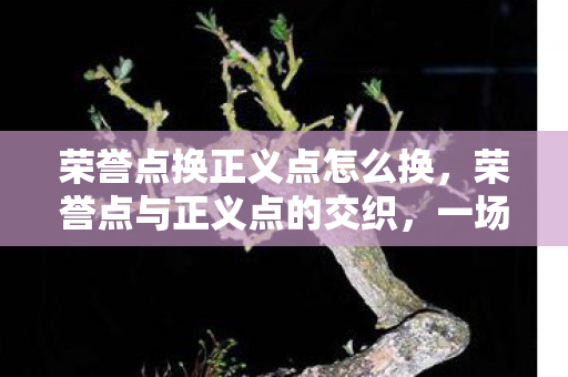 荣誉点换正义点怎么换，荣誉点与正义点的交织，一场关于价值观的深度对话