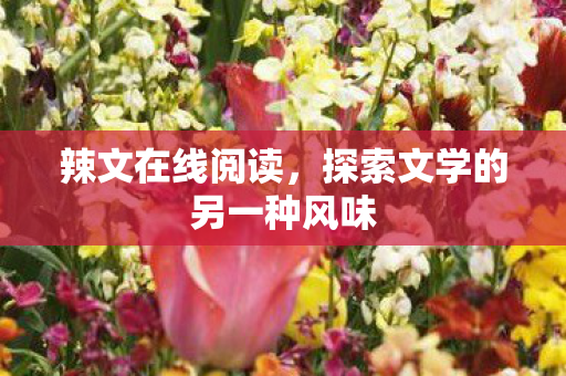辣文在线阅读，探索文学的另一种风味