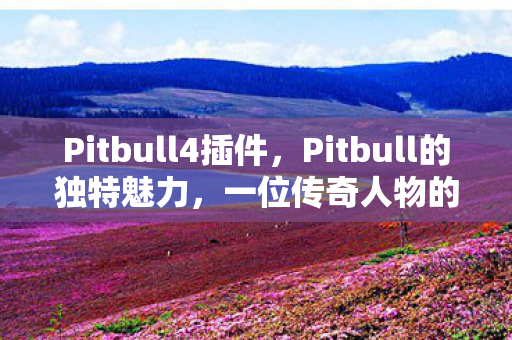 Pitbull4插件，Pitbull的独特魅力，一位传奇人物的成长与影响