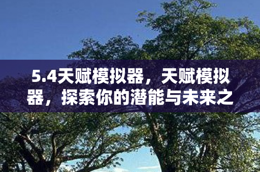 5.4天赋模拟器，天赋模拟器，探索你的潜能与未来之路