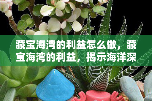 藏宝海湾的利益怎么做，藏宝海湾的利益，揭示海洋深处的财富之源