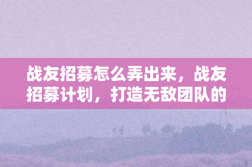 战友招募怎么弄出来，战友招募计划，打造无敌团队的关键步骤