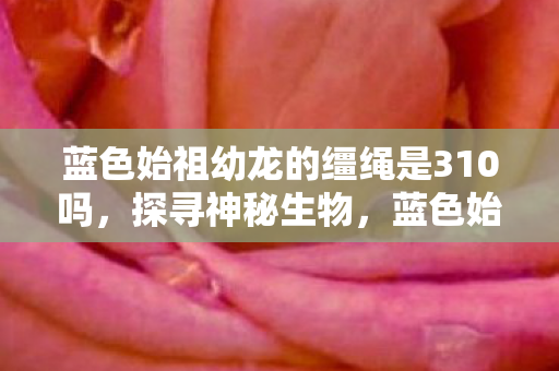 蓝色始祖幼龙的缰绳是310吗，探寻神秘生物，蓝色始祖幼龙的缰绳