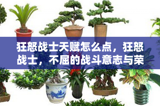 狂怒战士天赋怎么点，狂怒战士，不屈的战斗意志与荣耀的征途