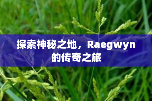 探索神秘之地，Raegwyn的传奇之旅
