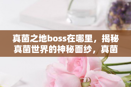真菌之地boss在哪里，揭秘真菌世界的神秘面纱，真菌之怒