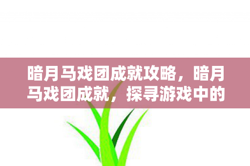 暗月马戏团成就攻略，暗月马戏团成就，探寻游戏中的荣耀与秘密