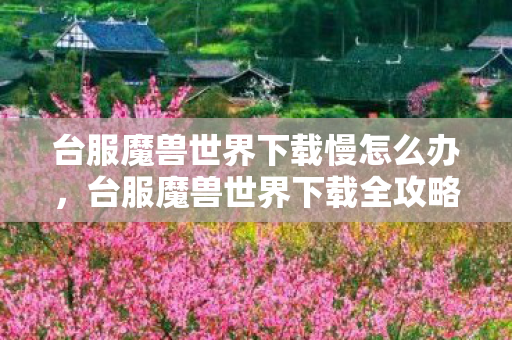 台服魔兽世界下载慢怎么办，台服魔兽世界下载全攻略，轻松上手，畅游魔兽世界