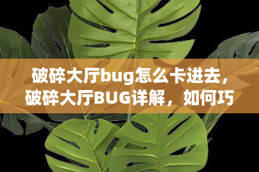 破碎大厅bug怎么卡进去，破碎大厅BUG详解，如何巧妙利用游戏漏洞