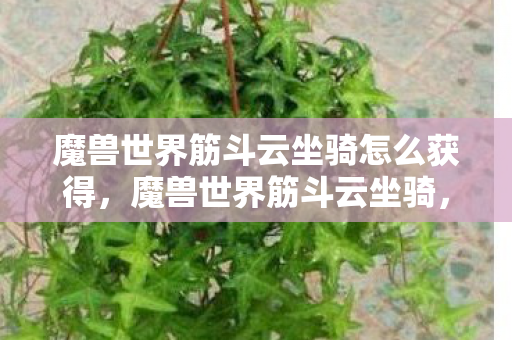 魔兽世界筋斗云坐骑怎么获得，魔兽世界筋斗云坐骑，梦幻般的速度与荣耀的象征