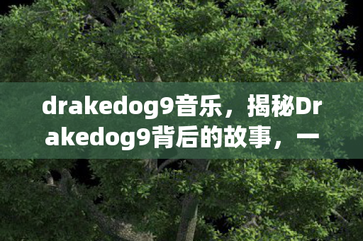 drakedog9音乐，揭秘Drakedog9背后的故事，一位游戏玩家的成长与奋斗