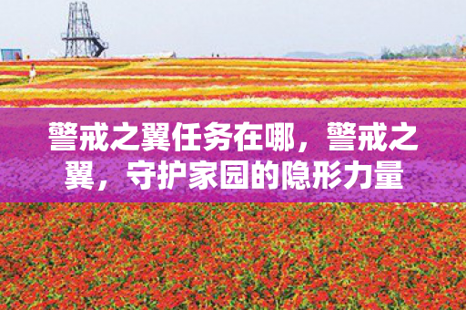 警戒之翼任务在哪，警戒之翼，守护家园的隐形力量