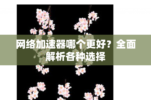 网络加速器哪个更好？全面解析各种选择