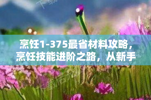 烹饪1-375最省材料攻略，烹饪技能进阶之路，从新手到熟练，一步步迈向烹饪大师之路的旅程（烹饪1-375）