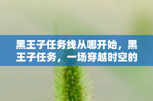 黑王子任务线从哪开始，黑王子任务，一场穿越时空的冒险之旅