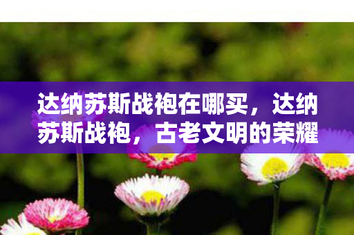 达纳苏斯战袍在哪买，达纳苏斯战袍，古老文明的荣耀与传奇战士的荣耀战装