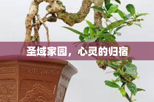 圣域家园，心灵的归宿