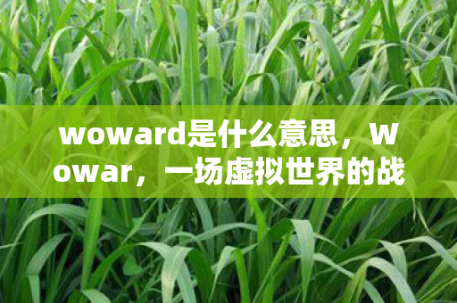 woward是什么意思，Wowar，一场虚拟世界的战争史诗