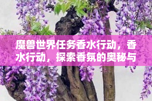 魔兽世界任务香水行动，香水行动，探索香氛的奥秘与魅力