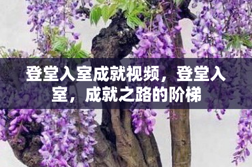 登堂入室成就视频，登堂入室，成就之路的阶梯
