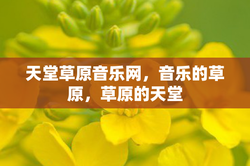 天堂草原音乐网，音乐的草原，草原的天堂