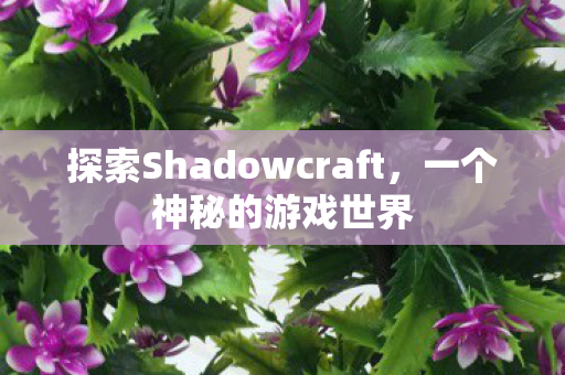 探索Shadowcraft，一个神秘的游戏世界