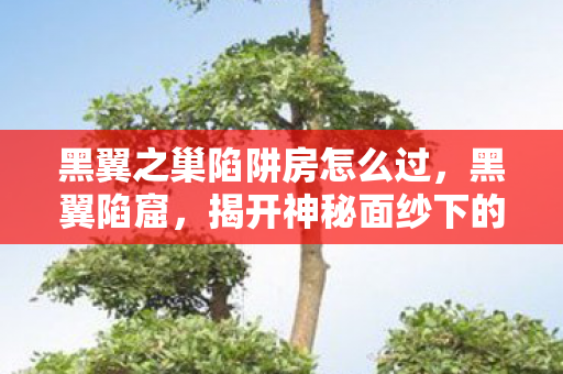 黑翼之巢陷阱房怎么过，黑翼陷窟，揭开神秘面纱下的真相