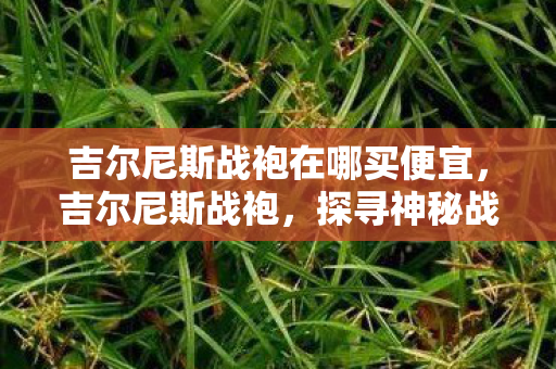 吉尔尼斯战袍在哪买便宜，吉尔尼斯战袍，探寻神秘战袍的购买之旅