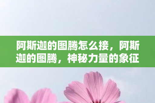 阿斯迦的图腾怎么接，阿斯迦的图腾，神秘力量的象征与文化的融合