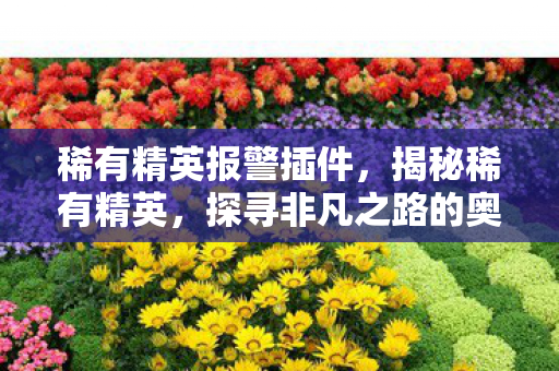 稀有精英报警插件，揭秘稀有精英，探寻非凡之路的奥秘