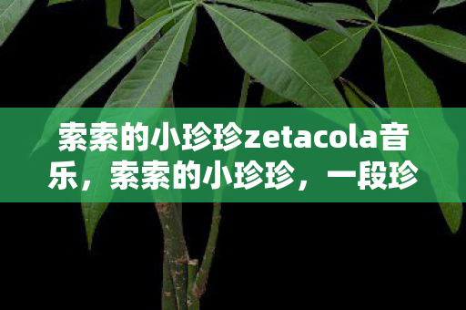 索索的小珍珍zetacola音乐，索索的小珍珍，一段珍贵的情感记忆