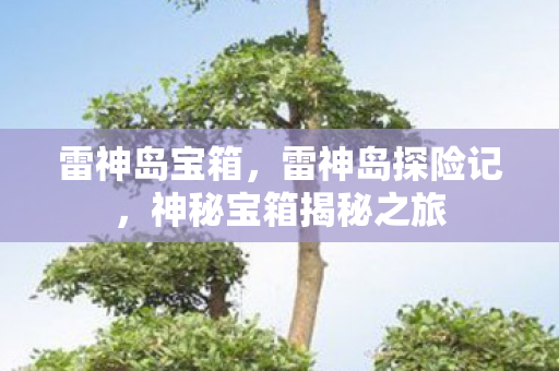 雷神岛宝箱，雷神岛探险记，神秘宝箱揭秘之旅
